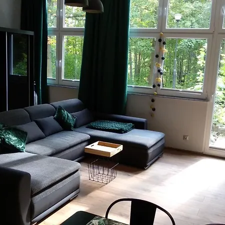 5 Przy Parku Lesnym Apartment *