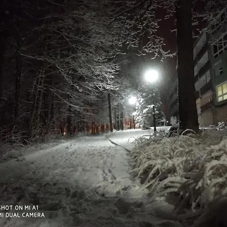 5 Przy Parku Lesnym Apartamento