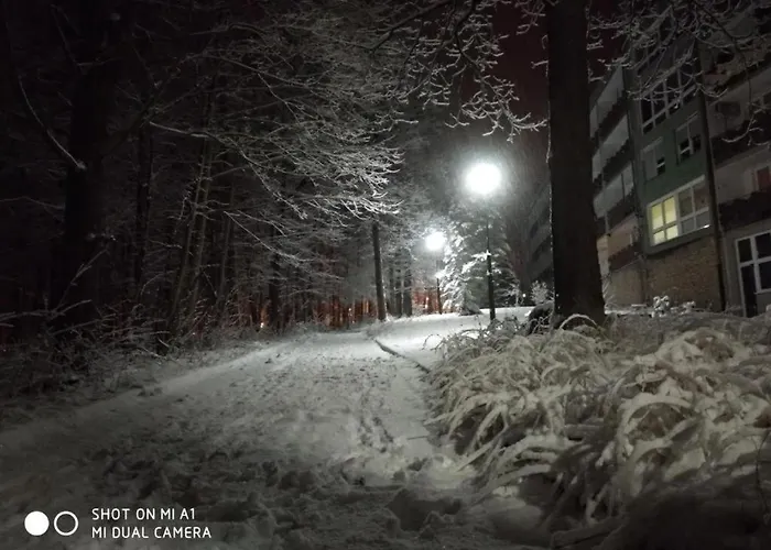 5 Przy Parku Lesnym Apartman